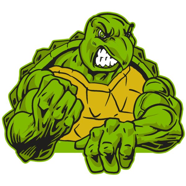 AR31 TURTLE 01 RQC Thumbnail